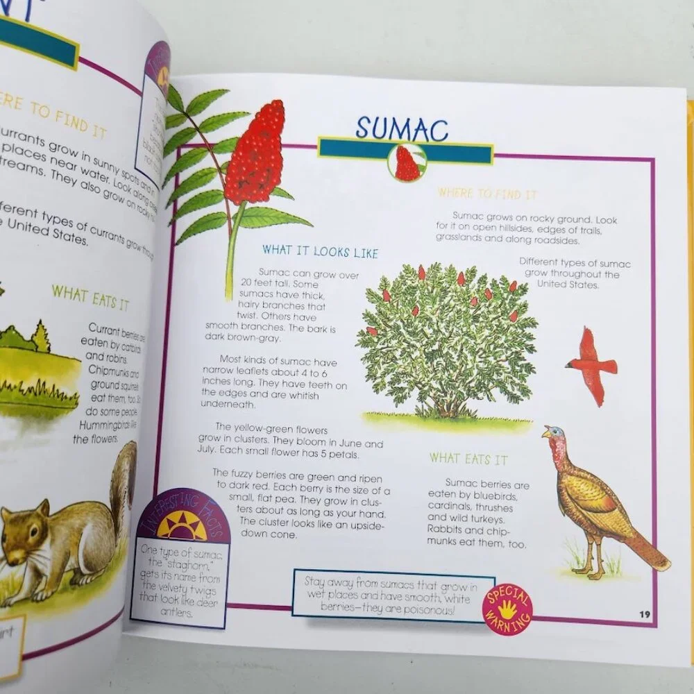 More Fun With Nature Take Along Guides Hardcover Book Activity Journal Craft